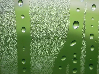 Window Droplets