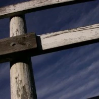 Fence Posts in June