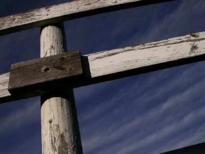 Fence Posts in June