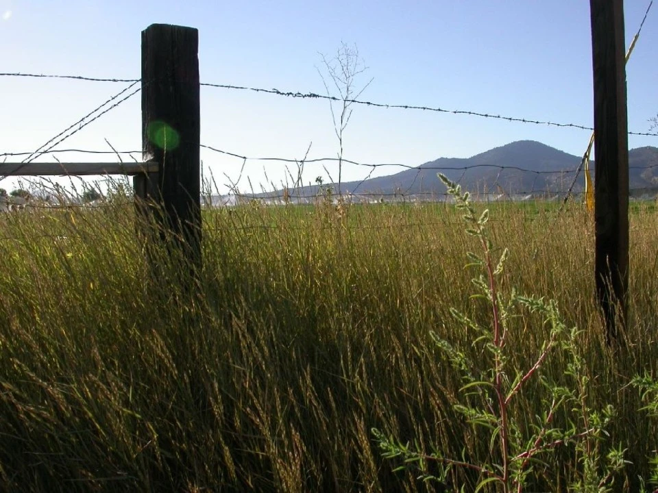 Quiet Field, Eastern Oregon