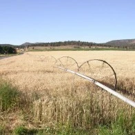 Field, Eastern Oregon