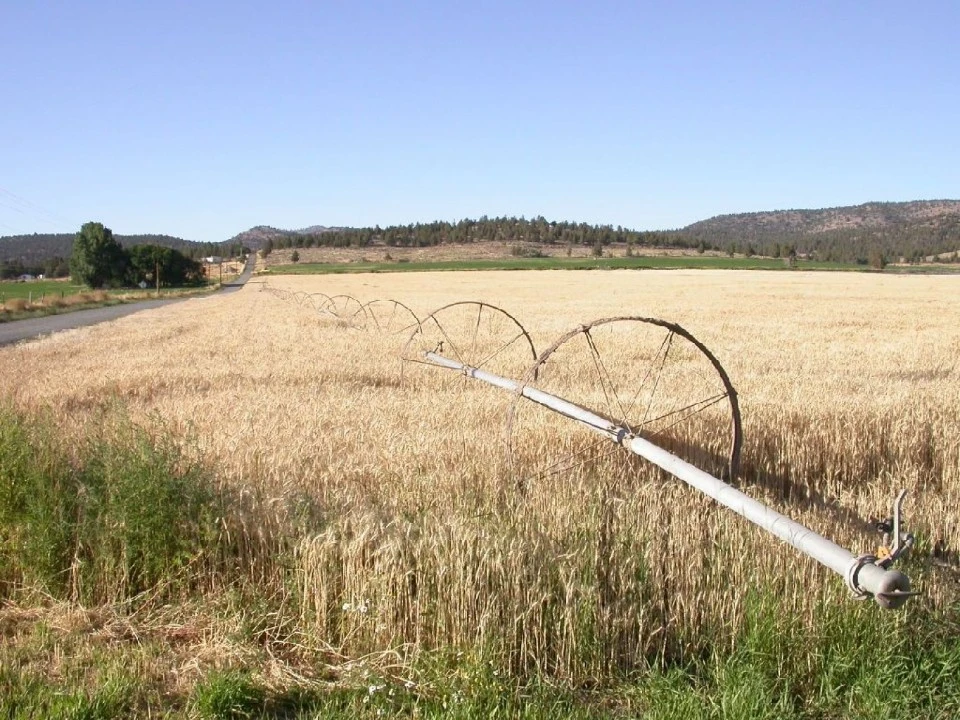 Field, Eastern Oregon