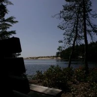 Bench and Trees, Oregon Coast