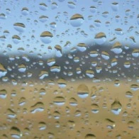 Droplets on Window