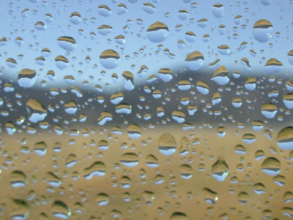 Droplets on Window