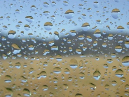 Droplets on Window