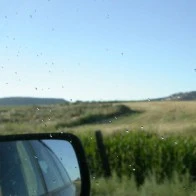 Droplets on Window