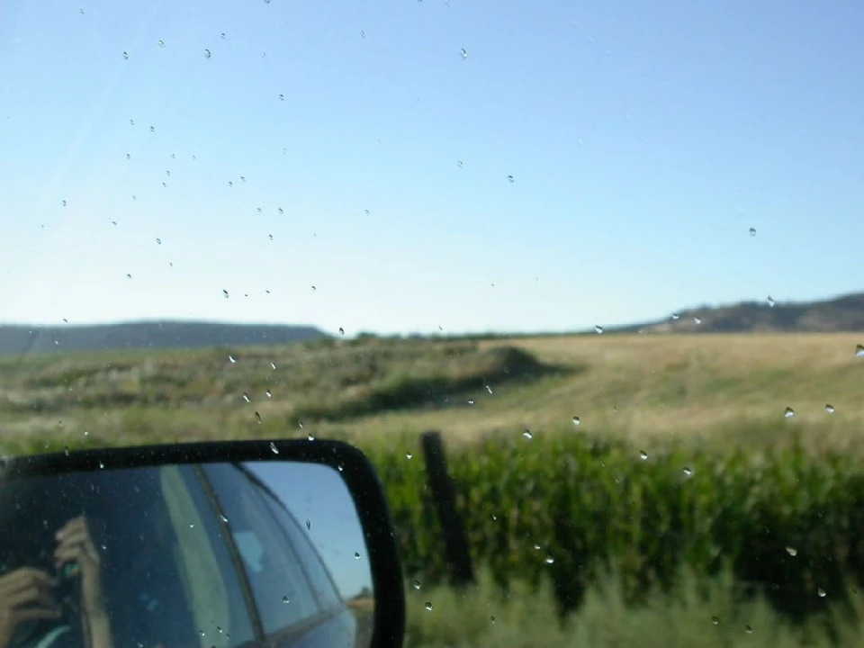 Droplets on Window