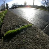 Wet Pavement on a Winter Day