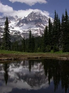 Mt. Rainier