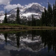 Mt. Rainier