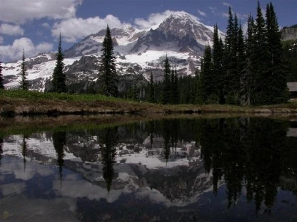 Mt. Rainier