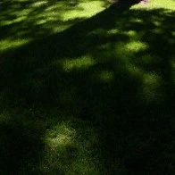 Warm Sun on a Shaded Lawn