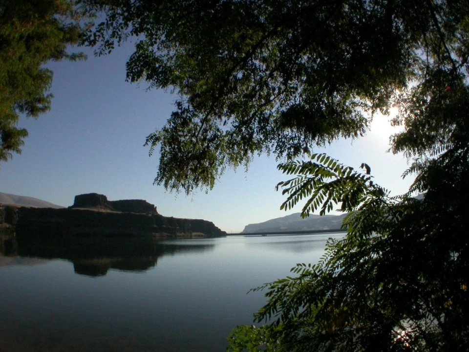 Morning, Columbia Bay