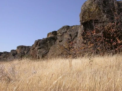 Outcrop, Columbia Gorge