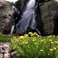 Timberline Falls