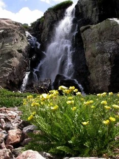 Timberline Falls