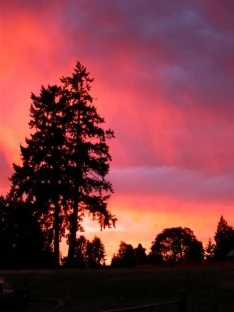 Summer Frisbee Sunset