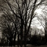 Street, Midwest Winter