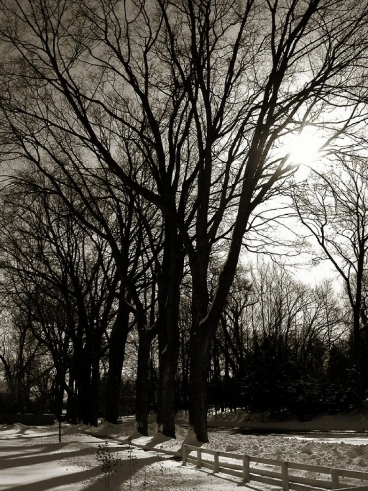 Street, Midwest Winter