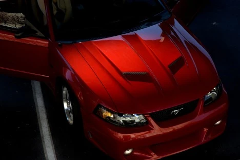 Mustang Hood