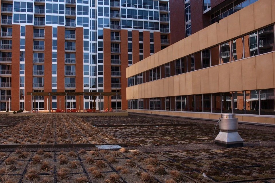 Green Roof, University Square