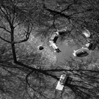 Benches, Trees, Empty