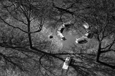 Benches, Trees, Empty