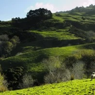 Hillside, New Zealand