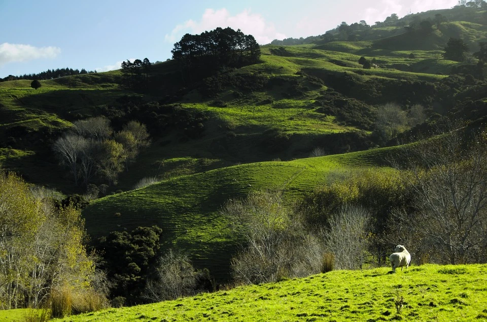 Hillside, New Zealand