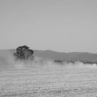 Lime Spreader, Suavie Island