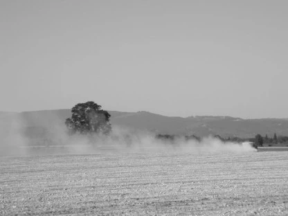 Lime Spreader, Suavie Island