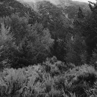 Canyon walls, Steens