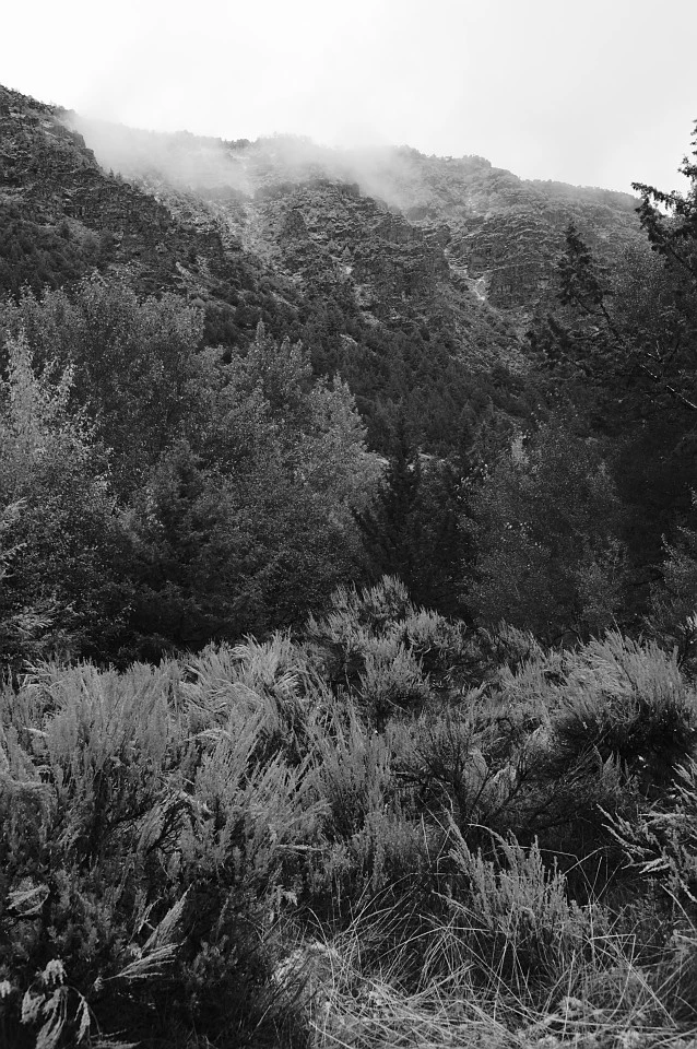 Canyon walls, Steens