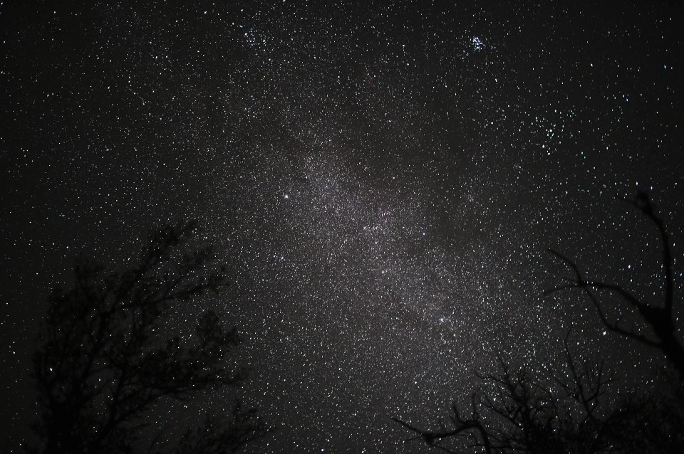 Starfield, Steens