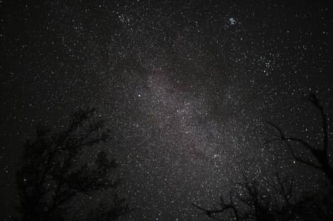 Starfield, Steens