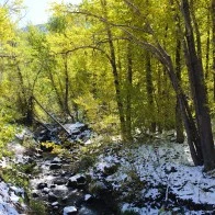 Cottonwoods, Steens