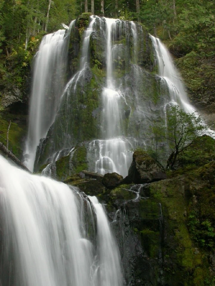 Falls Creek Falls