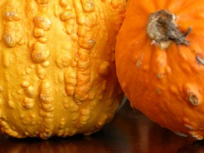 Autumn Squash